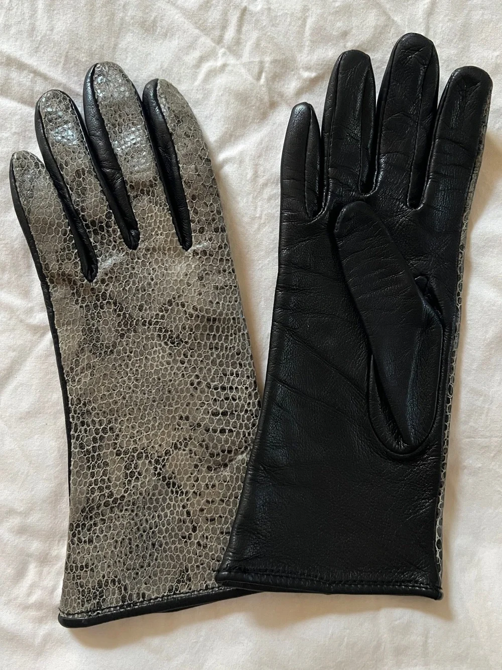 Black and Gray Leather Gloves with Textured Snakeskin front